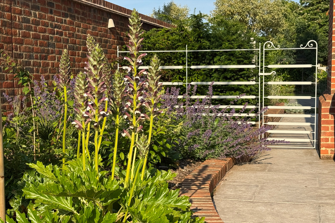 Image of the back of a house showing the landscaped garden